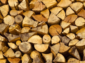 wood fuel for biomass